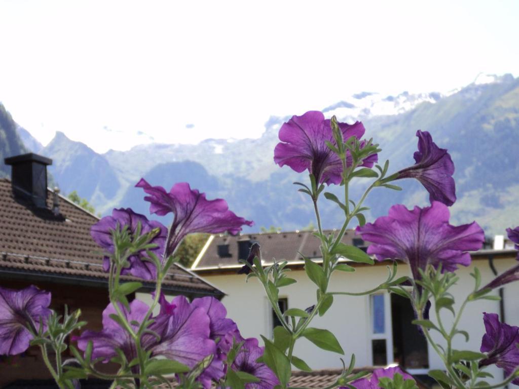 Apartmenthaus Gotthardt Kaprun Bilik gambar